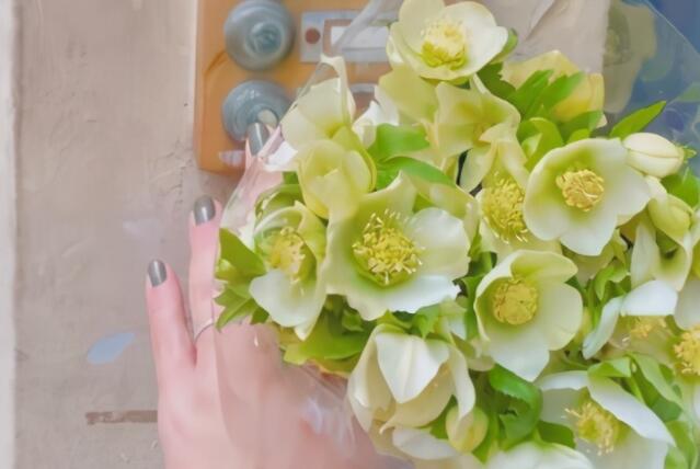 怀念高中的文案