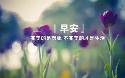 希望早安一句话