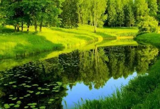 保护环境的标语