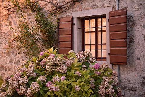 形容男人给女人惊喜的句子文案