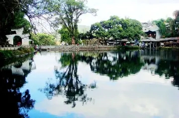 描写古树倒映水中的诗句文案