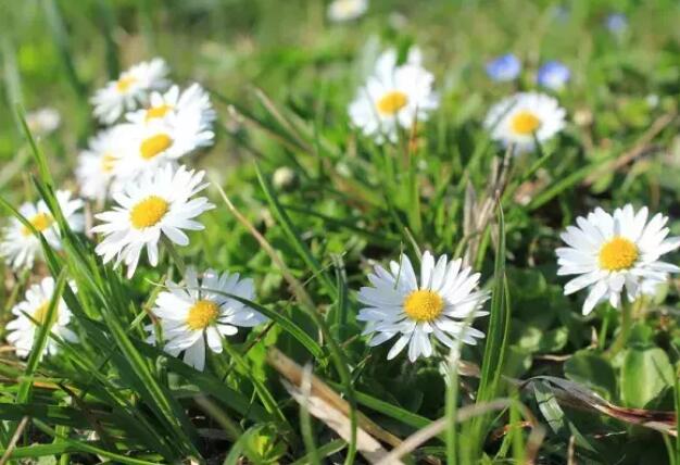 早安语录文案2024