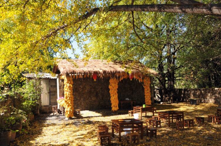 表达思念的句子文案古代诗经