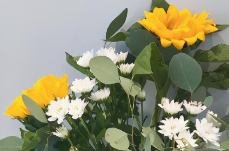 老夫老妻相濡以沫句子文案