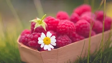 形容十一月份的优美句子文案