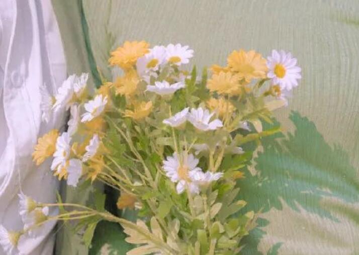 周末经典问候语