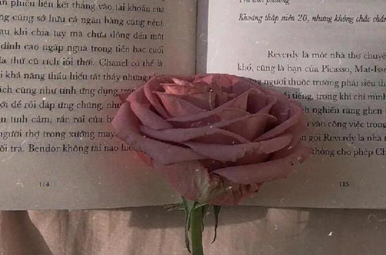 不辜负自己的短句