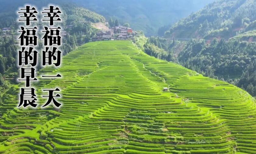 早晨问候的句子文案和图片