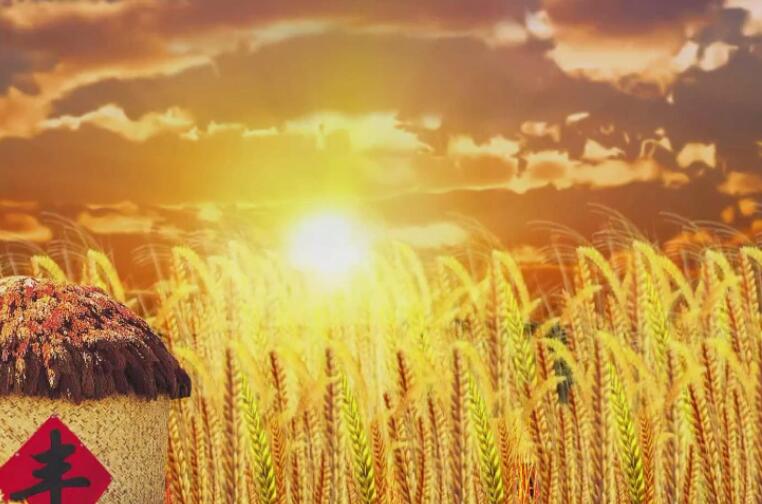 四五月收获的诗