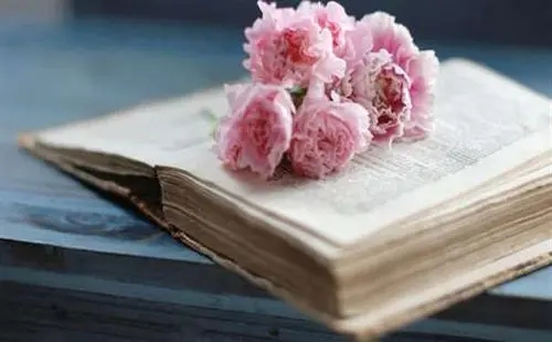 一句话签名致自己简短