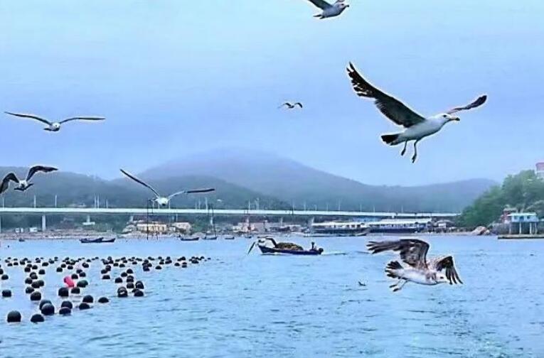 2021从心出发的句子文案