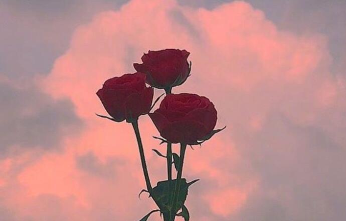 温馨的早安心语短句