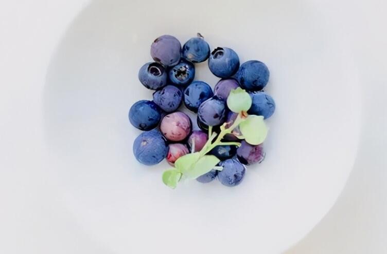 大实话哲理语录文案