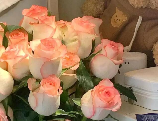 初中生适合发的文案