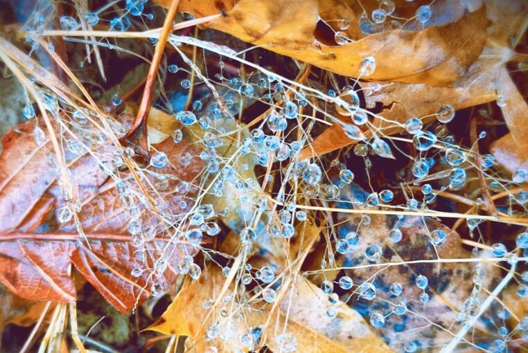 回首过去的经典句子文案