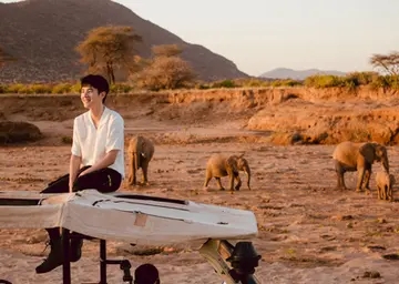 野性成熟的句子文案