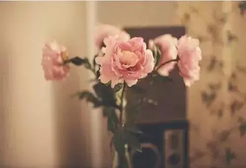 教训人的句子文案经典语录