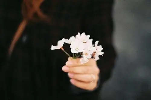 慢慢看透慢慢心凉的说说文案