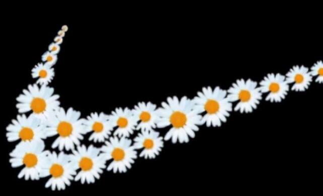 关于坚强的美文摘抄