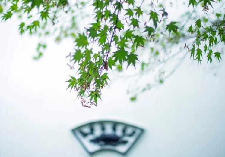 形容生活惬意的诗句文案