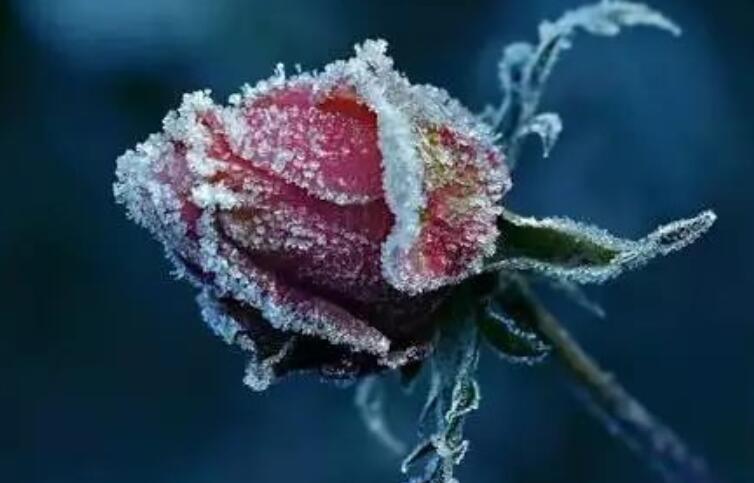 希望一切平安短句