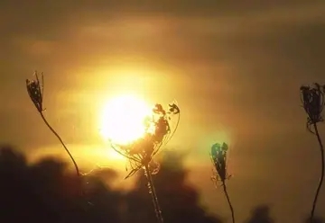 对生命失去希望的句子文案