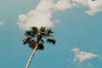 学生激励的句子文案经典语句