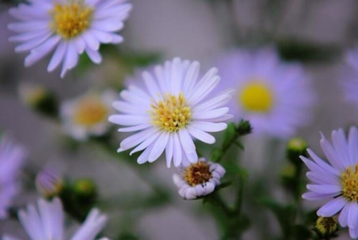 忙碌一天结束正能量的句子文案