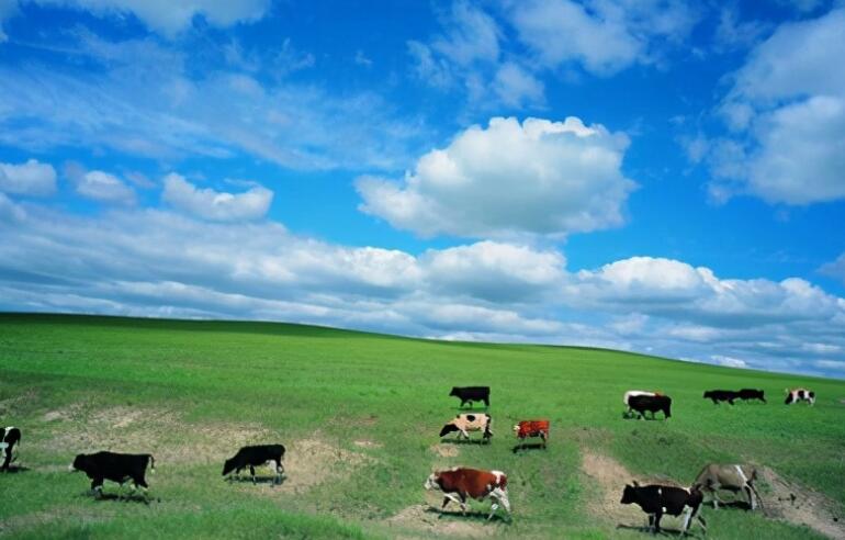 写风景的优美句子文案摘抄