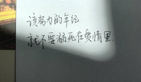 努力好好生活的短句子文案