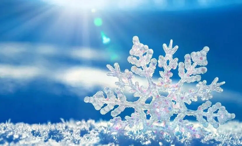 关于雪的优美诗句文案