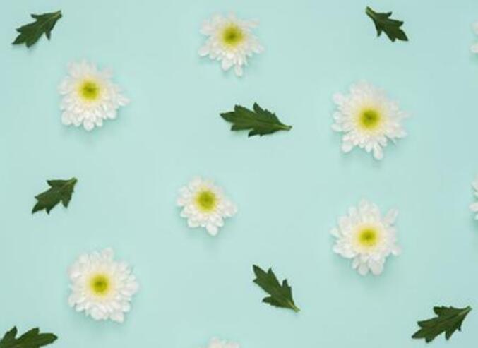 早安幽默的说说文案