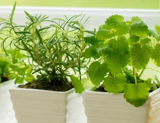 怀念过去的经典句子文案