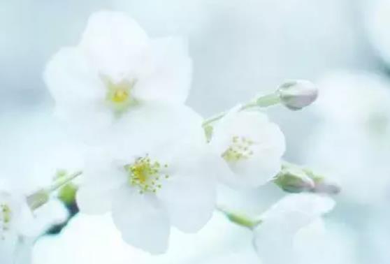 形容被忽视被冷落的句子文案