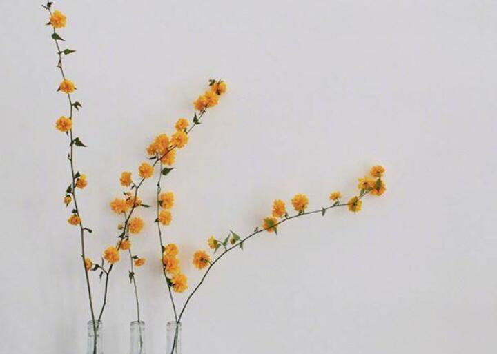 讽刺辉煌和落魄的句子文案