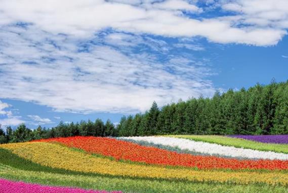 早晨激励正能量句子文案