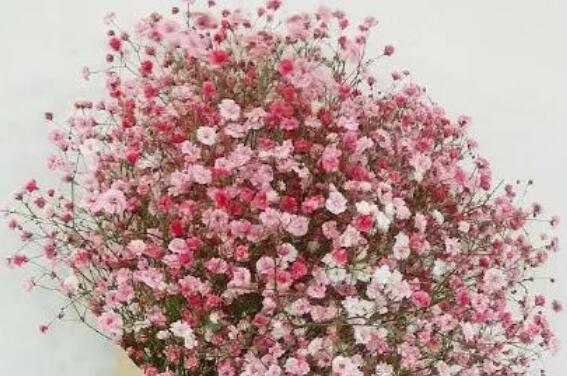 冷门又惊艳的句子文案