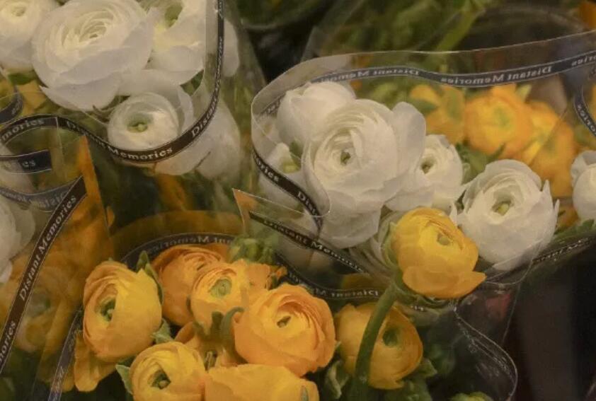 闪闪发光的优美句子文案