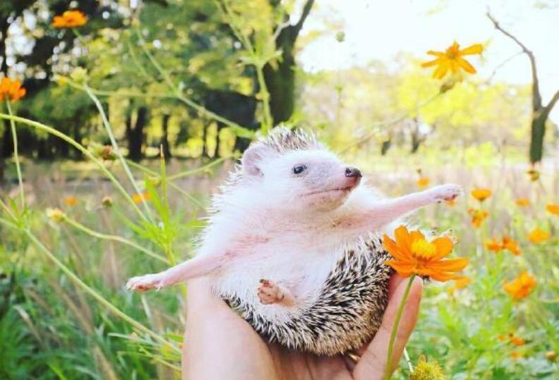 早安问候语录文案正能量语句