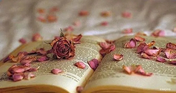 回家幽默句子文案说说心情短语