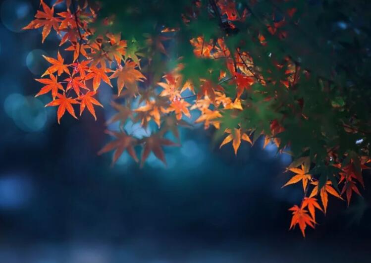 表示失落的心情的诗句文案