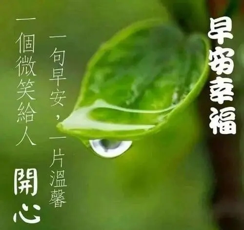 中老年人微信祝福句子文案