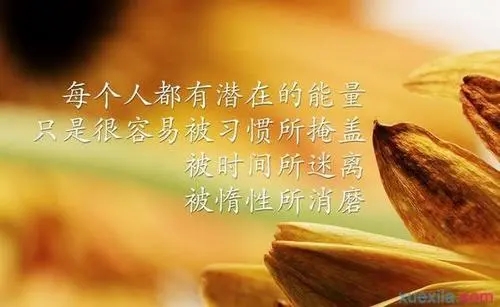 单身励志说说文案心情短语