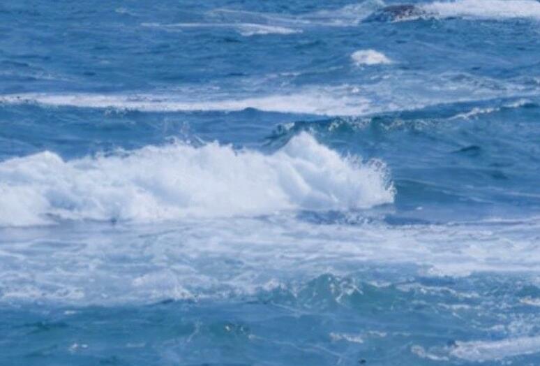 一句话的幸福心情说说文案