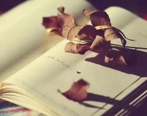 加班累的心情说说文案