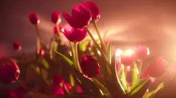 男人励志早安心语正能量