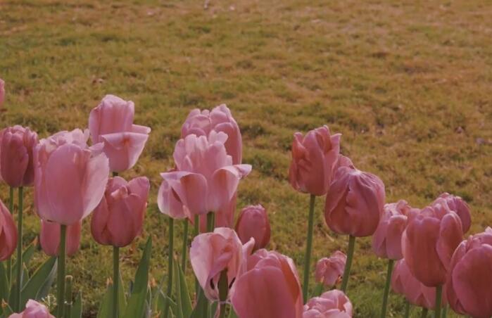 表示不开心的句子文案