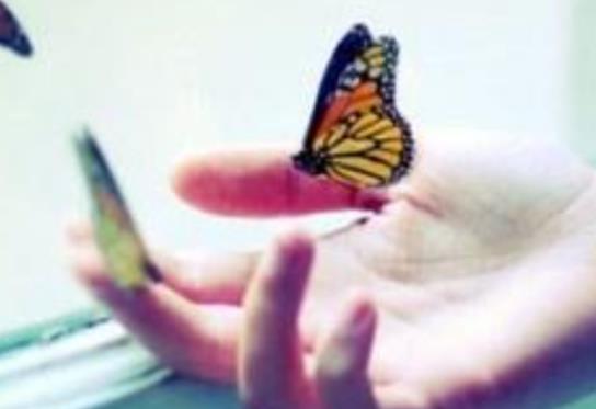 想念一个人的句子文案的句子文案