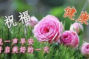 客户问候短信真诚简短