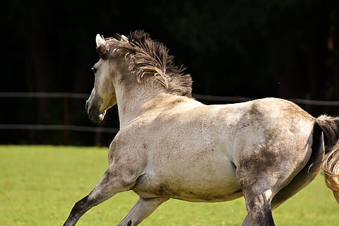 一段话说明爱情的过程